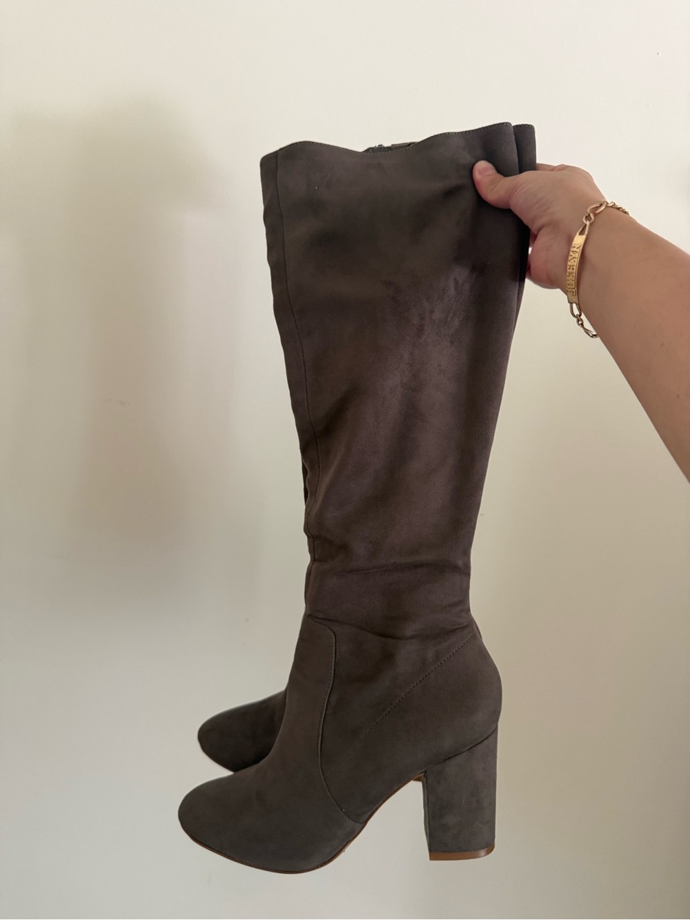 Aldo Tall Over-the-Knee Suede Boots in Dark Brown